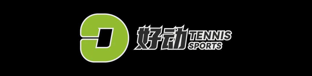 开云-史上第二高价格 美网冠军奖杯被拍卖 前世界第一破产后 荣耀也成抵债品